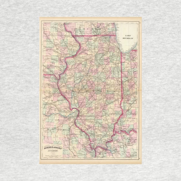 Vintage Map of Illinois (1874) by Bravuramedia